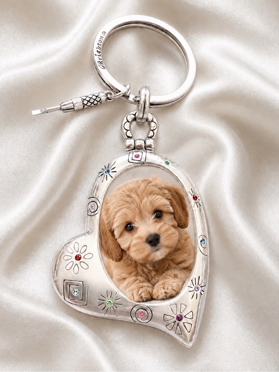 Brighton Accessories - RARE NWOT Brighton Fireworks Heart Key Fob Keychain Picture Frame Holder Locket